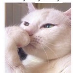Micheke