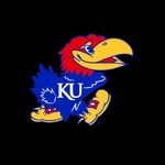 JayhawkFan