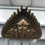 Paktaï