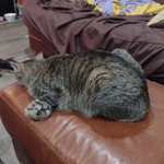 FranksGirl19