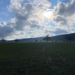 swissbina
