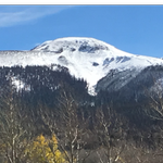 nojaro