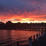 Katrina_McK