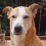 Sonja7458