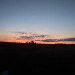 DarkestRose