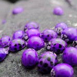 ballen2917