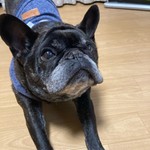 くっきー