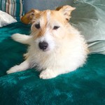 Corkygirl