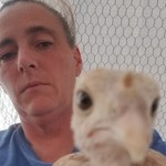 Myeverzoo