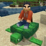 TurtleJockey
