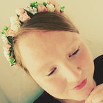Cookie_cakes_li