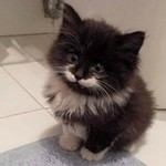 Michelexx