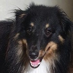 AUPRU
