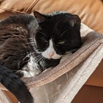 sunworshipper3