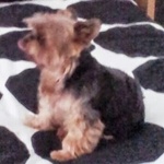 Daisy08