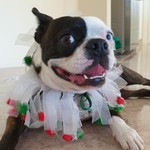 AlinaDR
