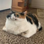 Lyzardbreath