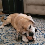 Starrypillow15