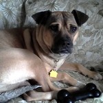 Billy_D