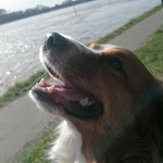 Cory_CGN