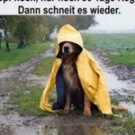 ralph0409