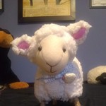 Sillysheep