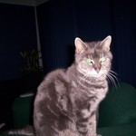 Shirley64