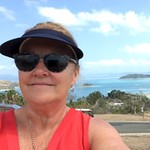 Lynniesim
