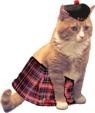 0rangeTabby
