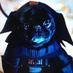 Spartan_Jeff
