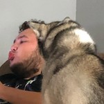 Brandon10