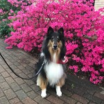 CountryLady73