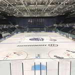 IceHockeyFan