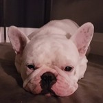 Po0psicle
