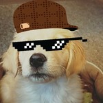 martymarmar
