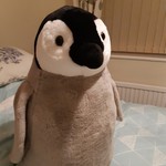 Penguin710