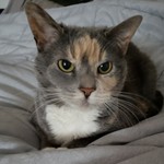 MrsTeacher82