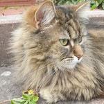 Edgar57
