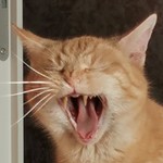 Ananasfitpad
