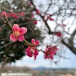 aUserinJapan