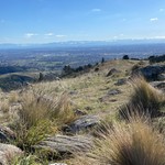 NZBILLYBOB
