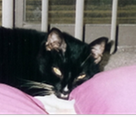 katherine68