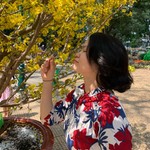 JingVN