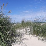 Strandgeher