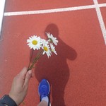 Ellimac