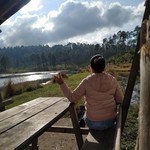 Almayesenia