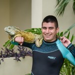 cesarjr