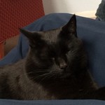 Pleasan7