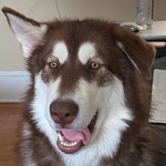 SVrun