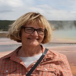 debshaver